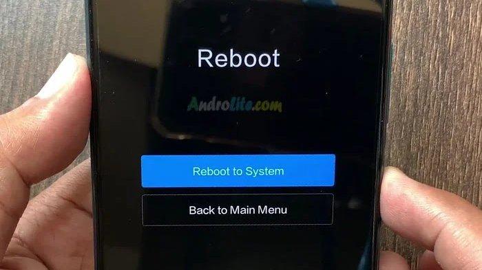 Cara (app) visual data 5